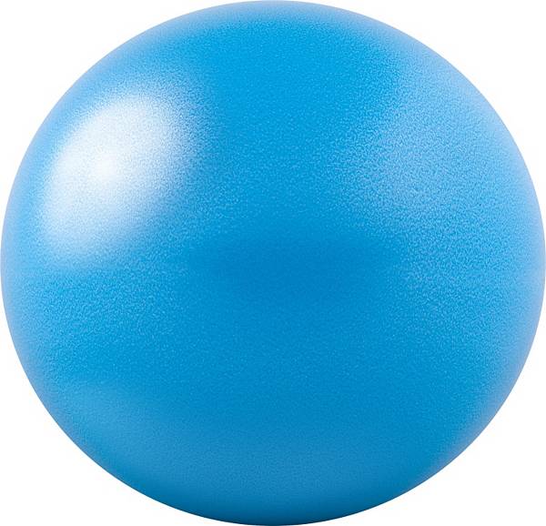 GoFit 20 cm Core Ab Ball