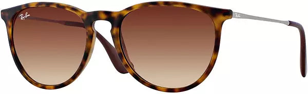 Ray-Ban Erika Classic Sunglasses