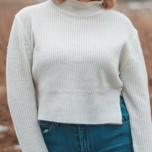 The Winter Crop Top